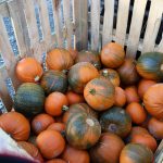 history of halloween and pumpkins